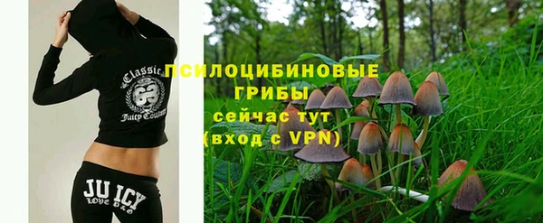 ешки Кукмор