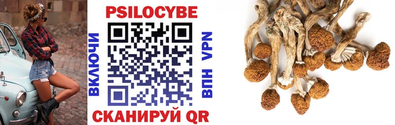 Галлюциногенные грибы Cubensis  Купить где  Белокуриха 